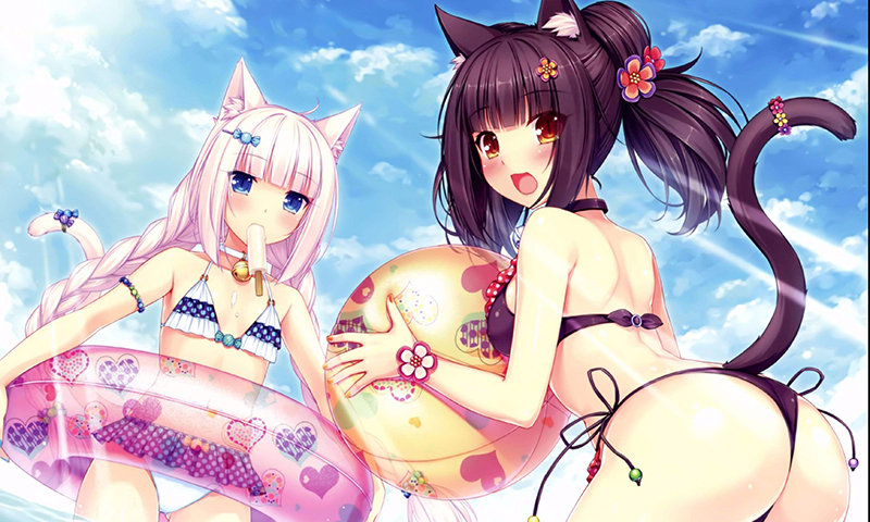 FluxBB bbcode 测试